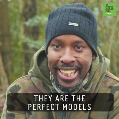 The squirrel photographer