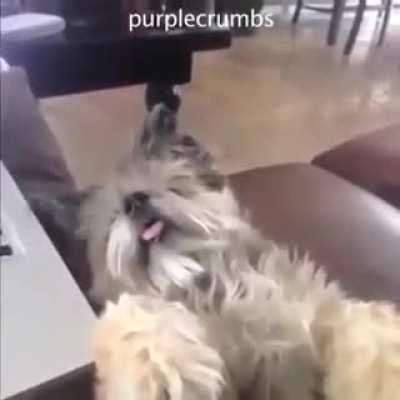 Theme Search: Cute and adorable characters that have this kind of energy