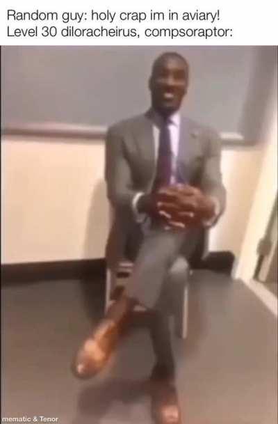 Should I just started posting memes daily?