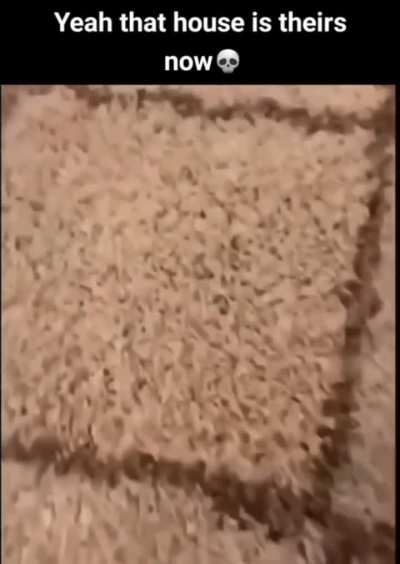 Bug in rug 