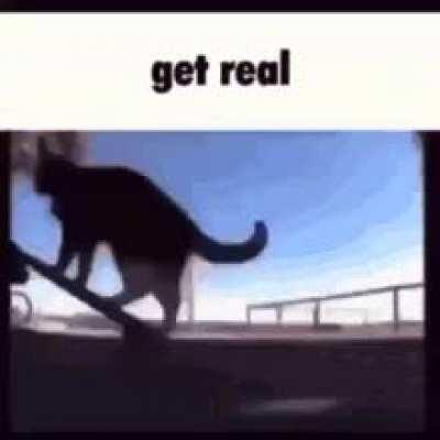 Hey roomba, how are you doing on a scale from 1-7?