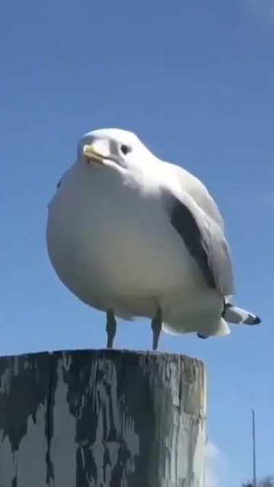 Bir feministin gözüne istemeden 000.1 sn baktım that bi*ch