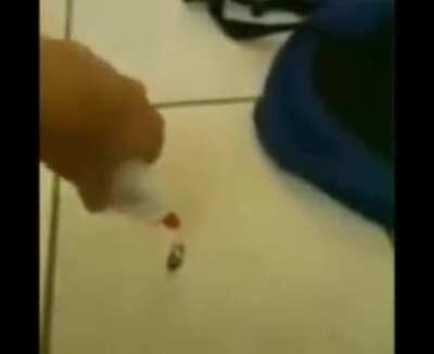 LEEEEEEEEET'S FUCKING GOOOOOOOOOOOOOO BAYBEEEEEEEEEEEEEEEEEEEEEEEEEEEEEEEEEEEEEEEEEEEEEEEEEEEEEEE