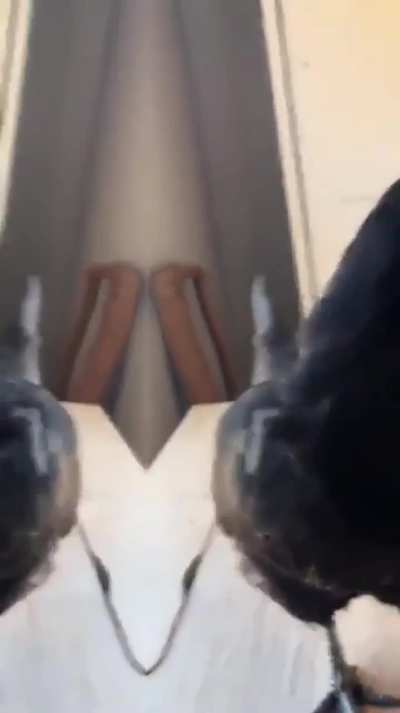 you know i keep that mf thang on me (credit: @smurfmasterjym.bsky.social)