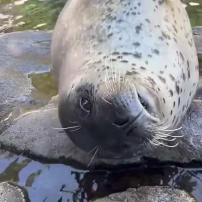Tatilde Necati Akçay dan yakalanan kareler