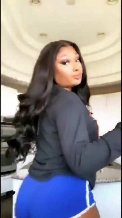 Meg Thee Stallion shaking that big ass