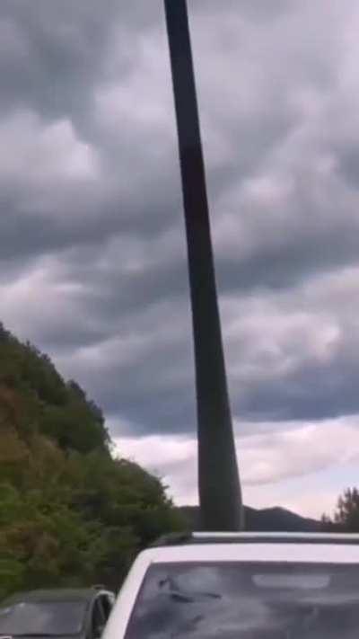 No no dino...yup, nope nope nope nope noopeeee.