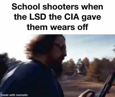 Government sanctioned weaponized femboys