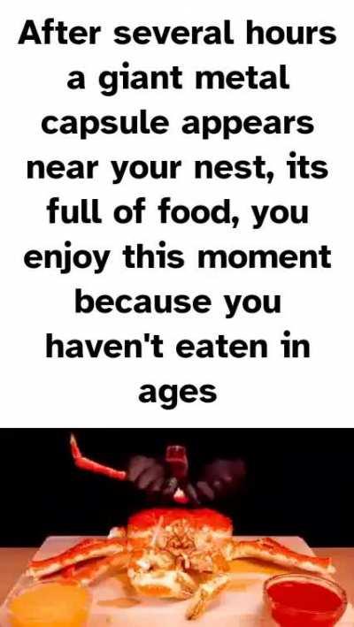 “There is something outside that want in”