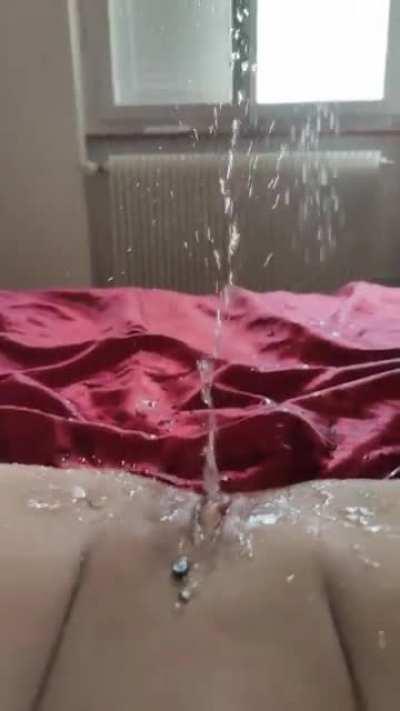 ⛲Need a new sprinkler system?⛲