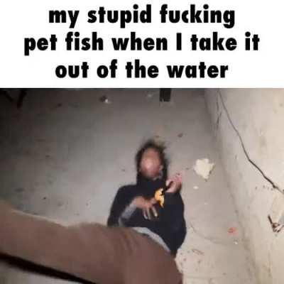 update: I've put it back