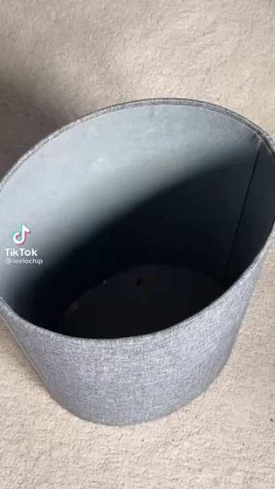 Thought this was somewhat relevant