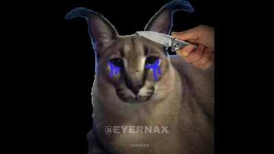 big floppa slideshow