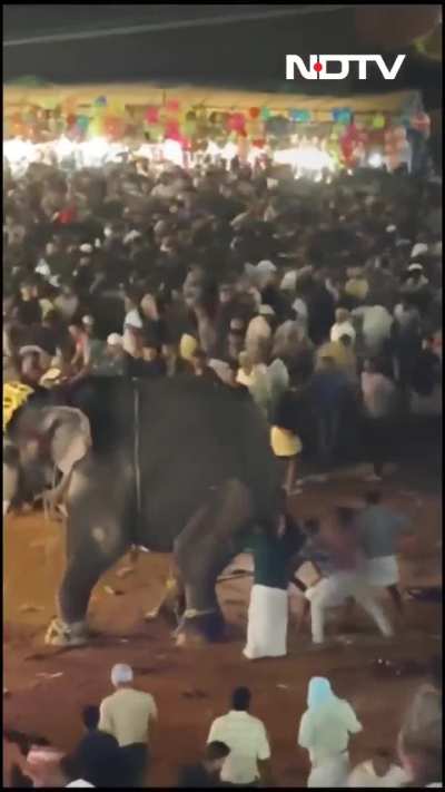 Everything in this country is too much 