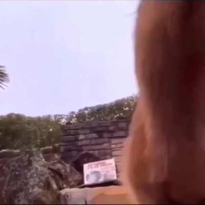 Spent 100k on my son