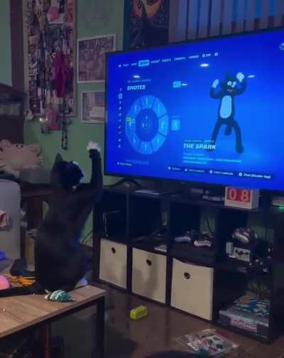 No es imitación, es admiración pura. Mira a mi gato con su héroe.