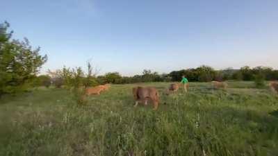 That is some confidence