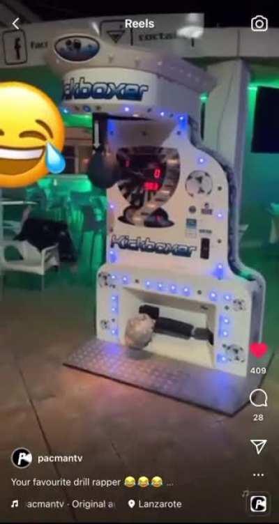 Lucii’s fat ass falling over