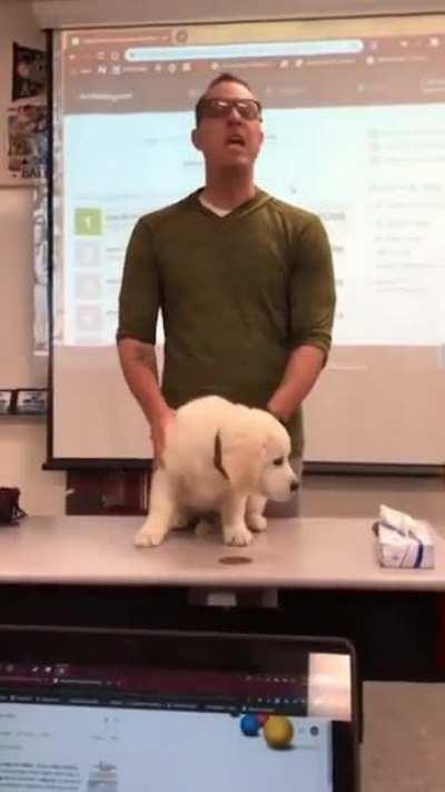 He said the last sentence so casually