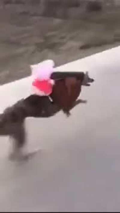 peppa pig ta meio diferente