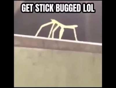 seems like there's a new bug in presage. screebs, smh