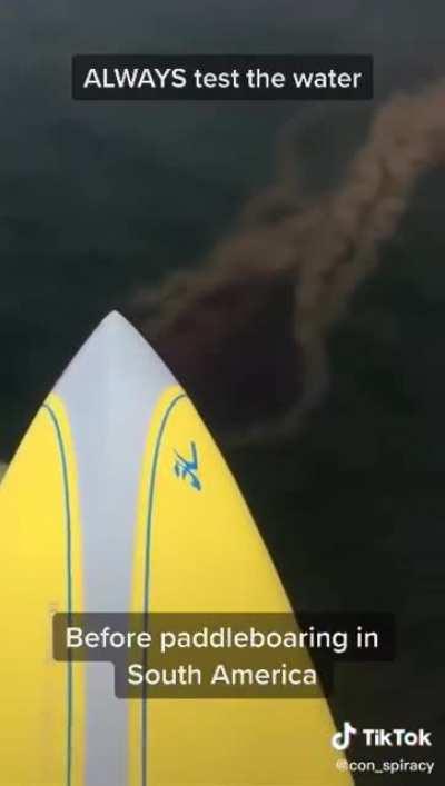 I'd watch a horror movie like this