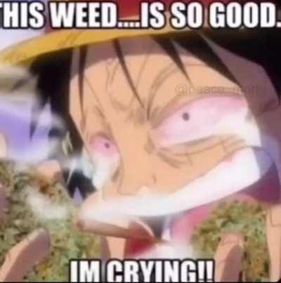 Despite what the mods in r/onepiece think, I believe this is a high quality meme.
