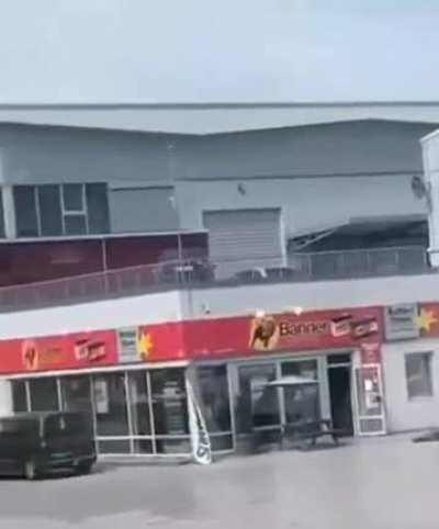 Moose jumps from the 1st floor