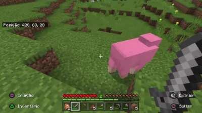 eu e meu amigo achamos uma ovelha rosa (0,16% de chance de spawnnar) 20 minutos após criarmos o mundo