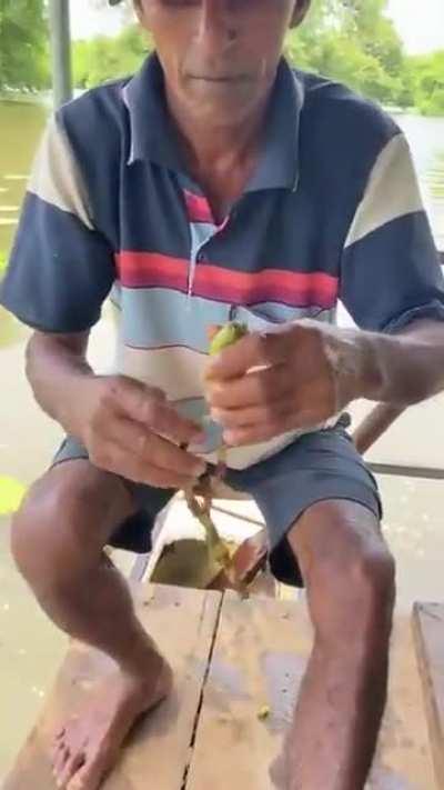 Turning Water Lily into a Beautiful Necklace