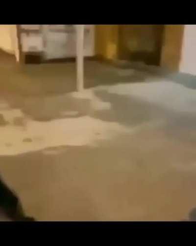 Skateboarding Skillz