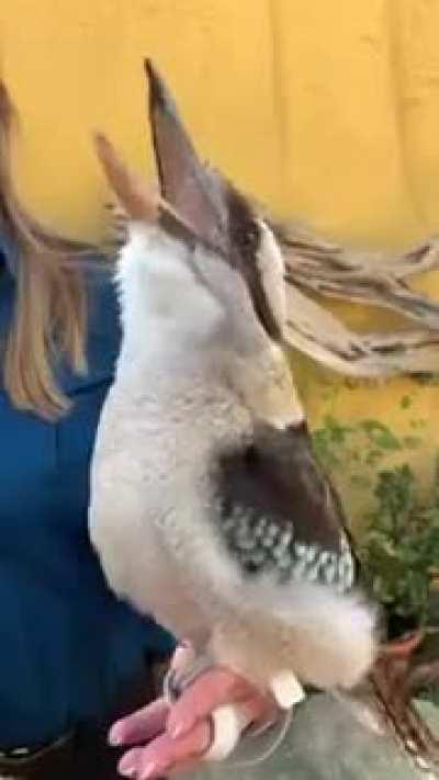 This deserves to be heard all day long ...