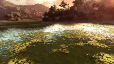 and now im going to attract the Boar with my.......