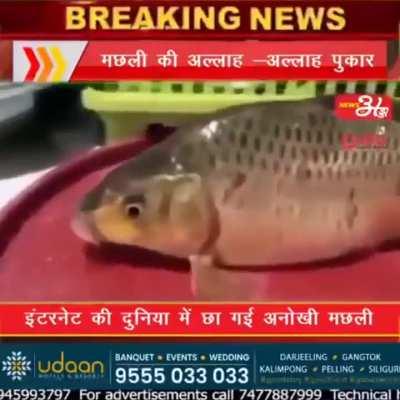 It's over for satguru!!!!!!