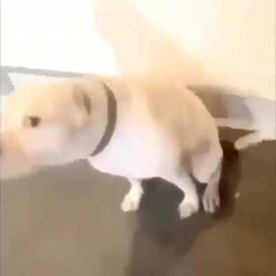 High pitched piano DK music