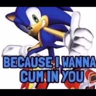 are you a sock¡?¡?¡?¡