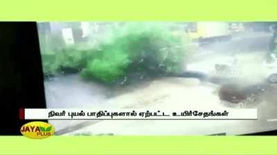 Cyclone Nivar - Tree falls on man crossing the road