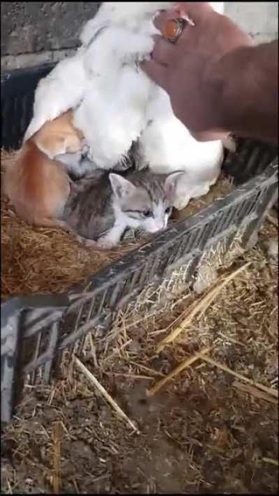 My goodness 🤣😍