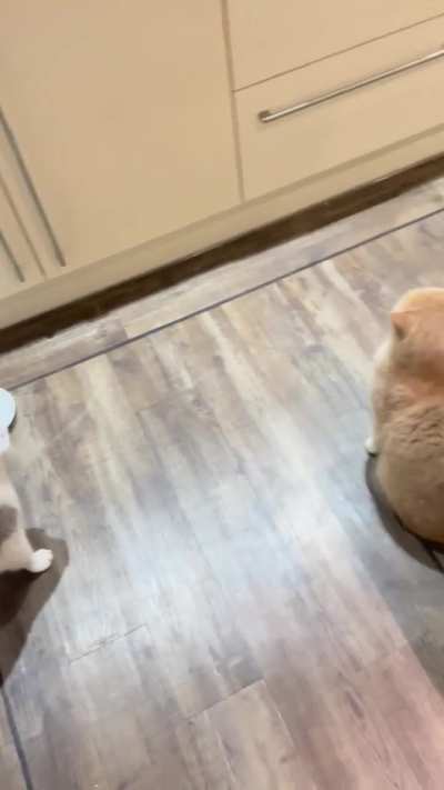 The only thing that brings them together is their hatred of late dinner