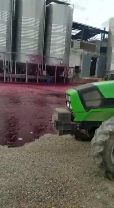 60,000 Bottles Worth of Wine Burst from a Broken Tank in Villamalea, Spain
