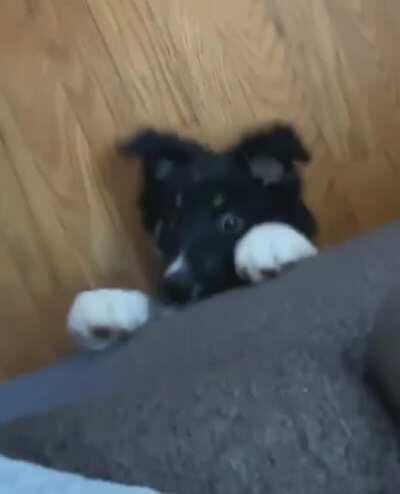 How did I get in here?