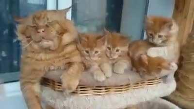 Granddad watching the new ones