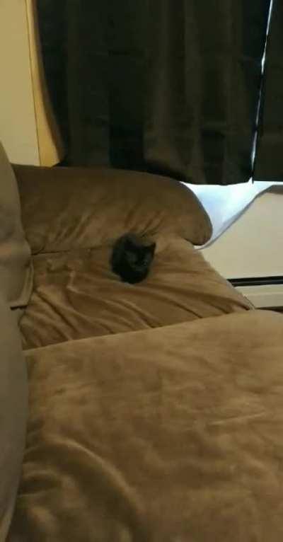 Mini void commits assault in broad daylight!