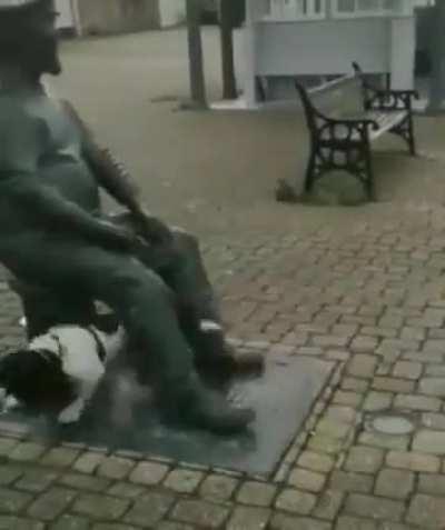 Wanna play fetch hooman?