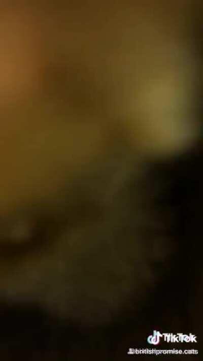 Tap tap what is this tap tap tap