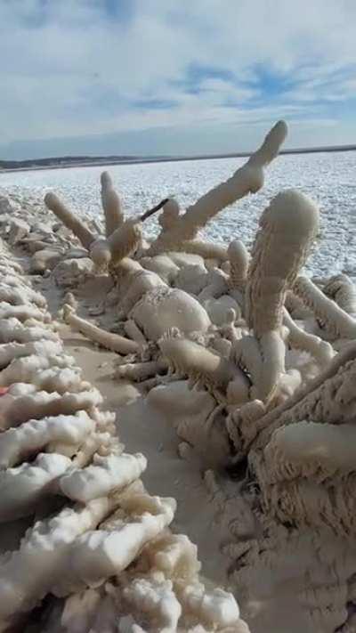 **Huge** Ice dicks in the daytime (Oc)