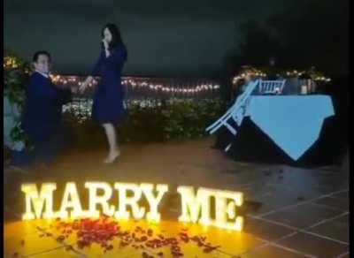 Que raros son los perros en Monterrey