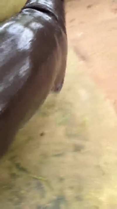 Mom stop romancing! 😡I'm under attack from Benz! 😡😱