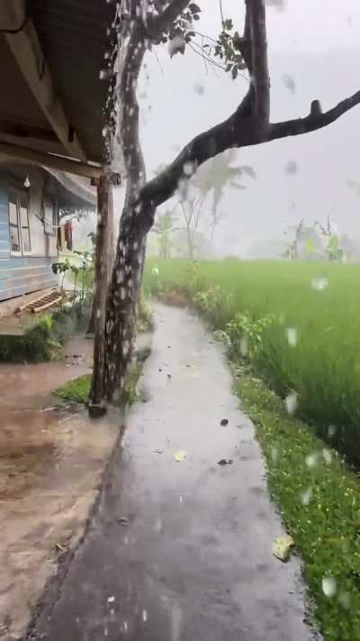 narrow village path, rain falling softly — peace you can feel 🍃😌