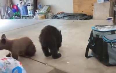 To go into the garage...